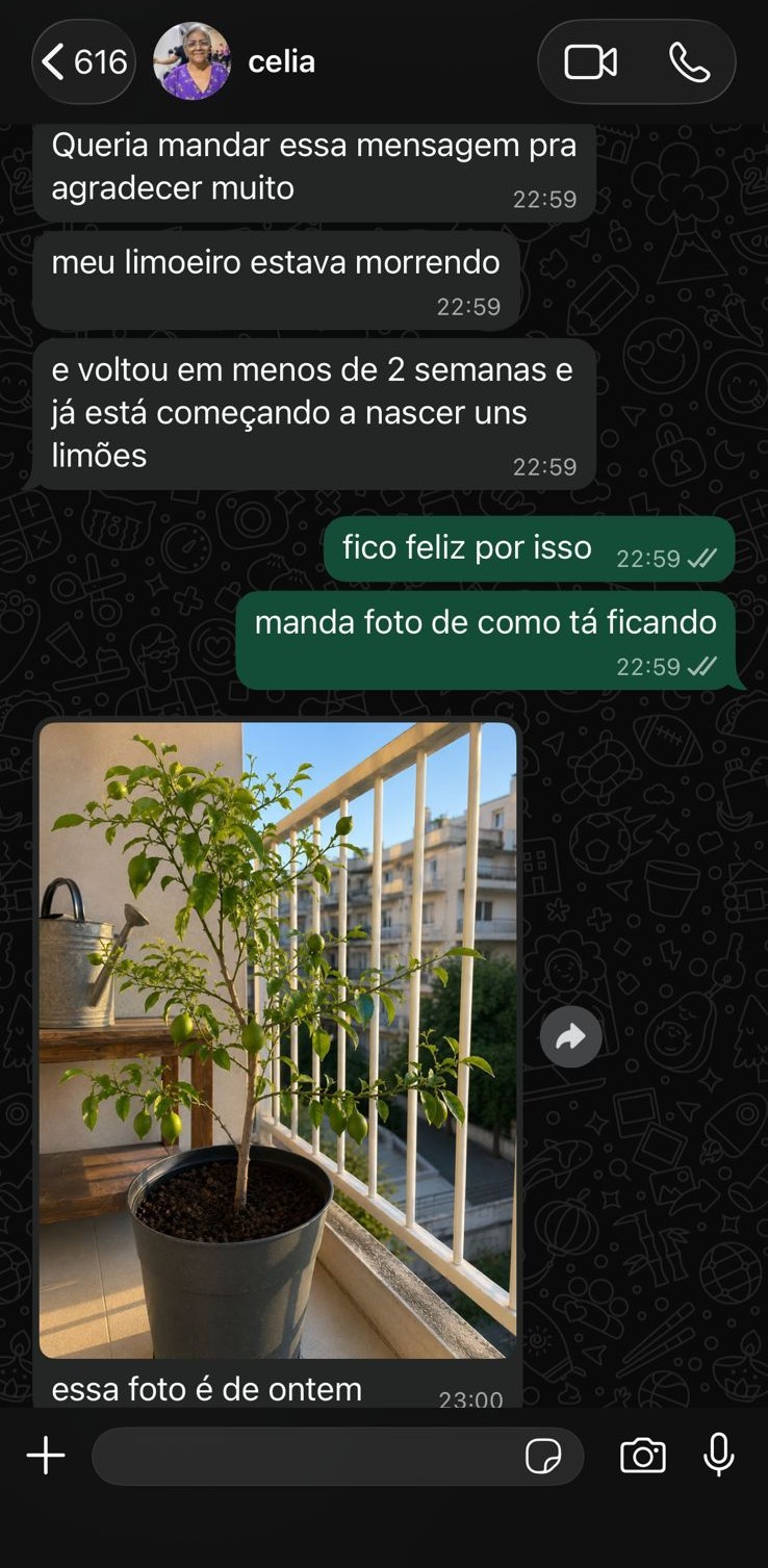 Depoimento 2