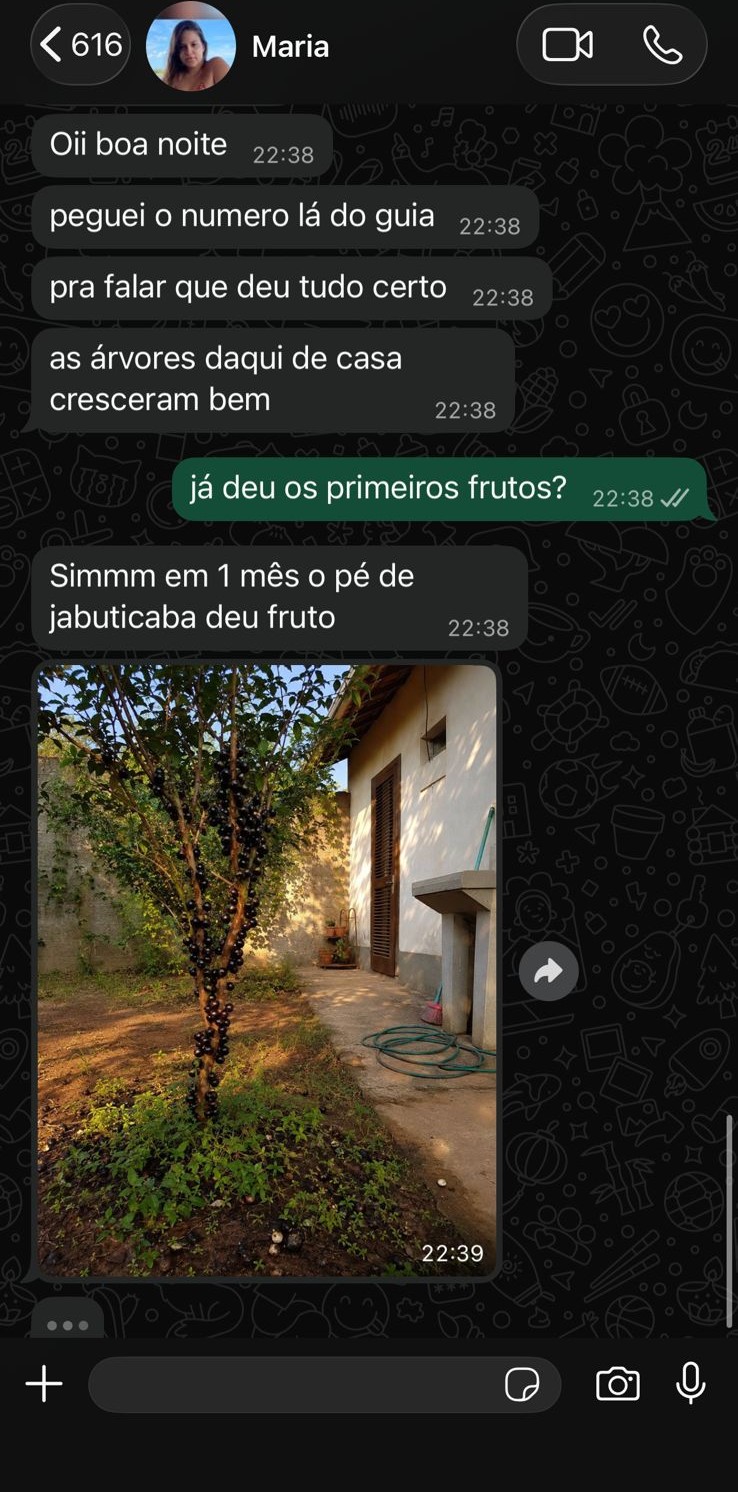 Depoimento 3